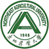 正版资料全年资料大全