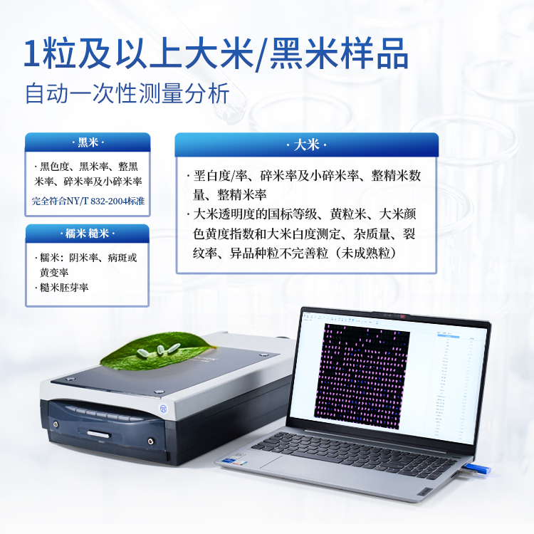 正版资料全年资料大全