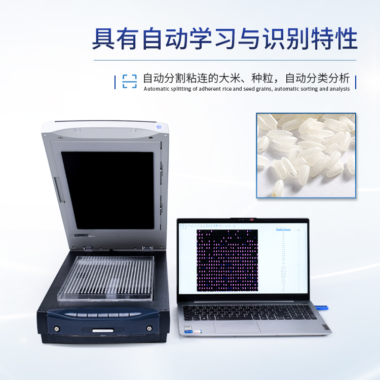 正版资料全年资料大全
