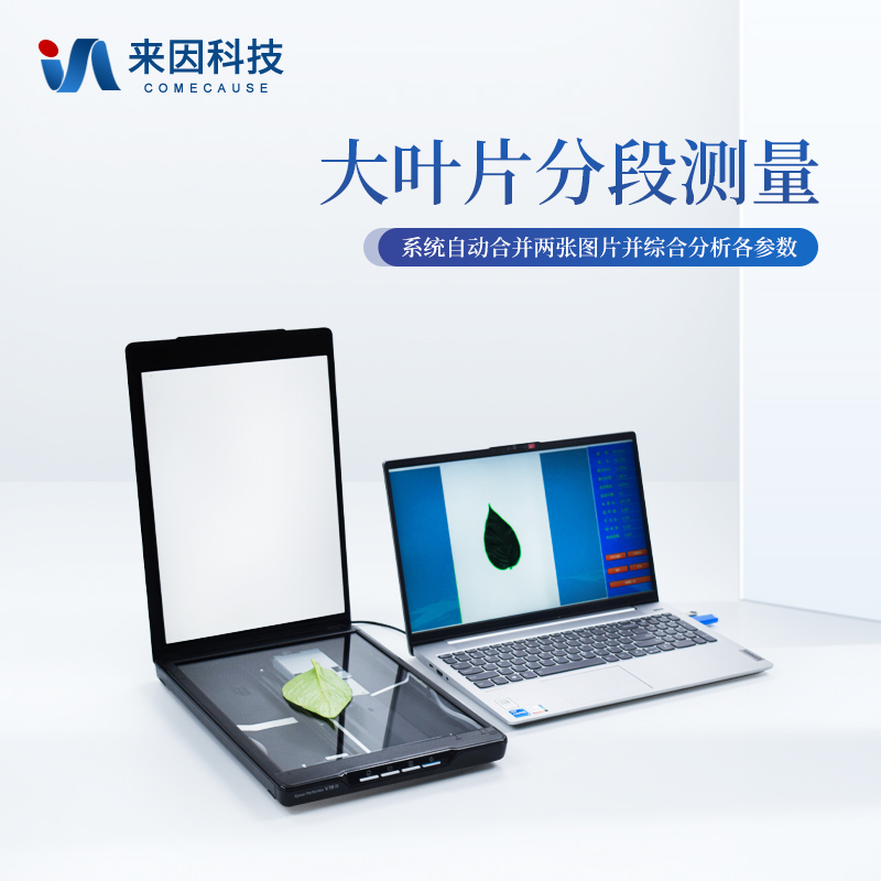 正版资料全年资料大全