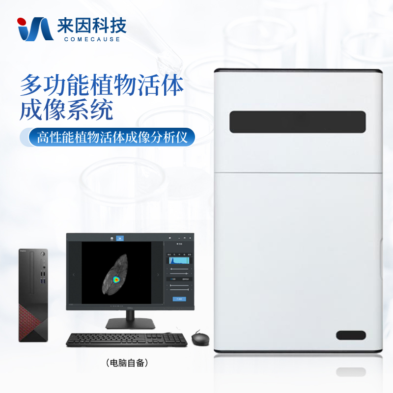正版资料全年资料大全