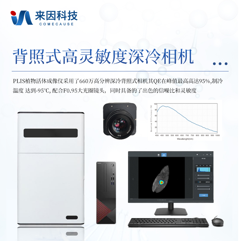 正版资料全年资料大全