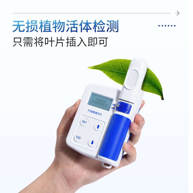 正版资料全年资料大全