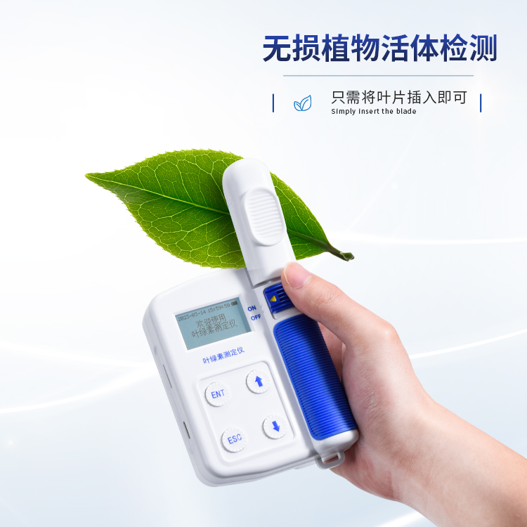 正版资料全年资料大全
