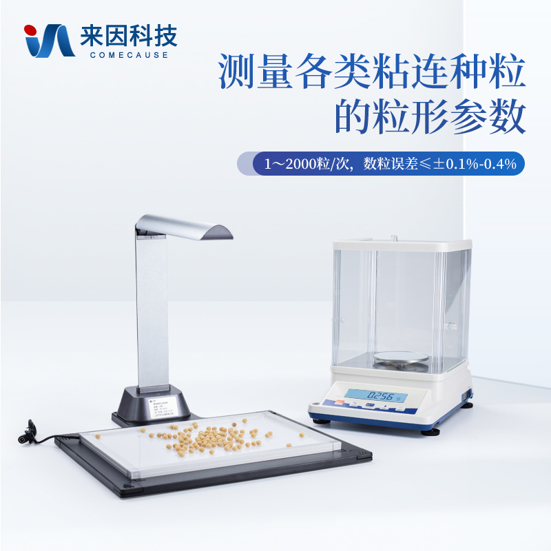 正版资料全年资料大全