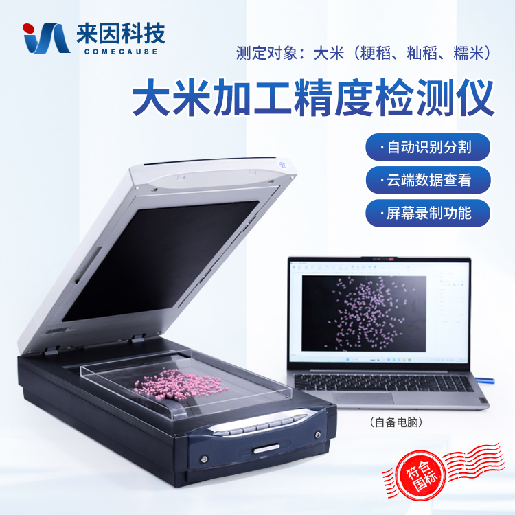 正版资料全年资料大全