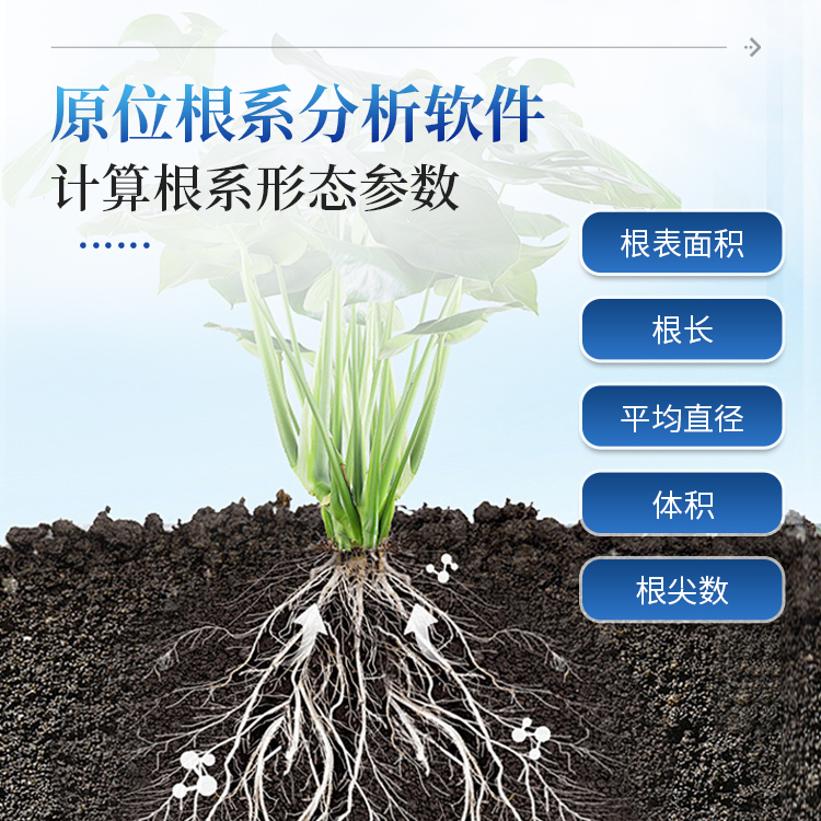 正版资料全年资料大全
