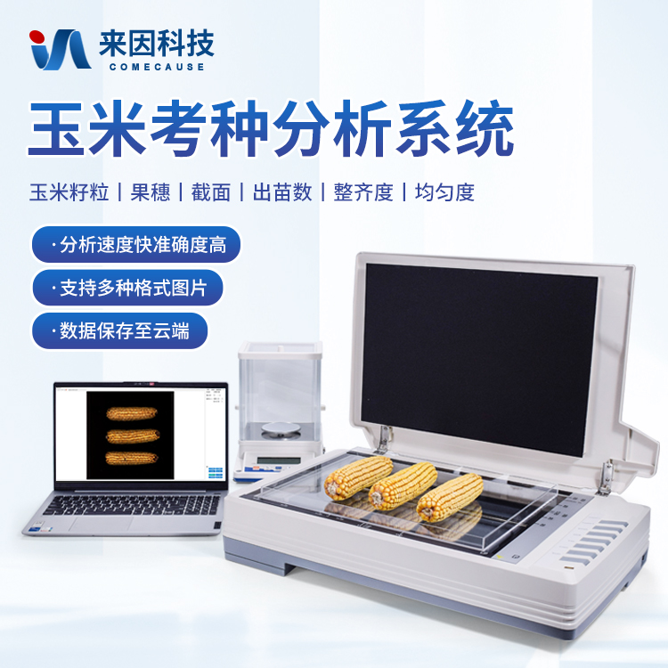 正版资料全年资料大全