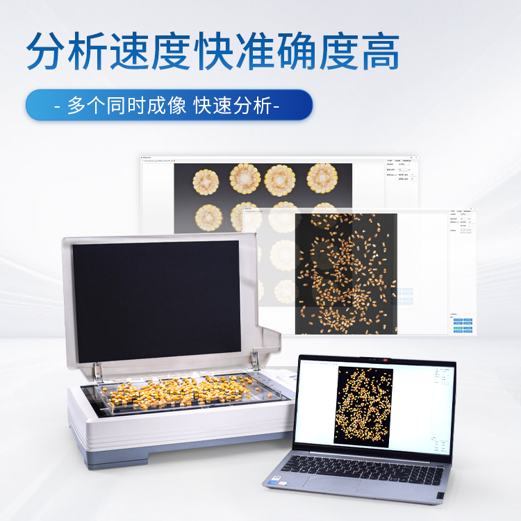 正版资料全年资料大全