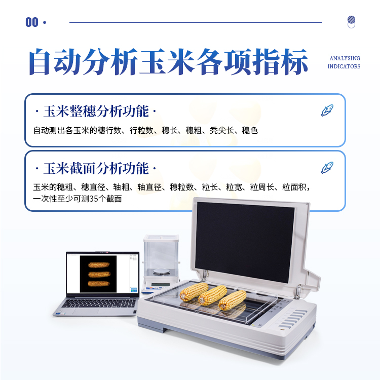 正版资料全年资料大全