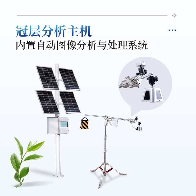 正版资料全年资料大全