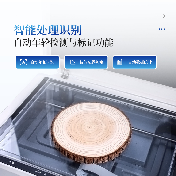 正版资料全年资料大全