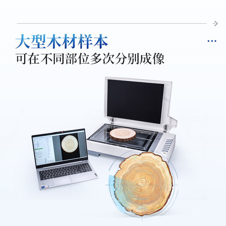 正版资料全年资料大全
