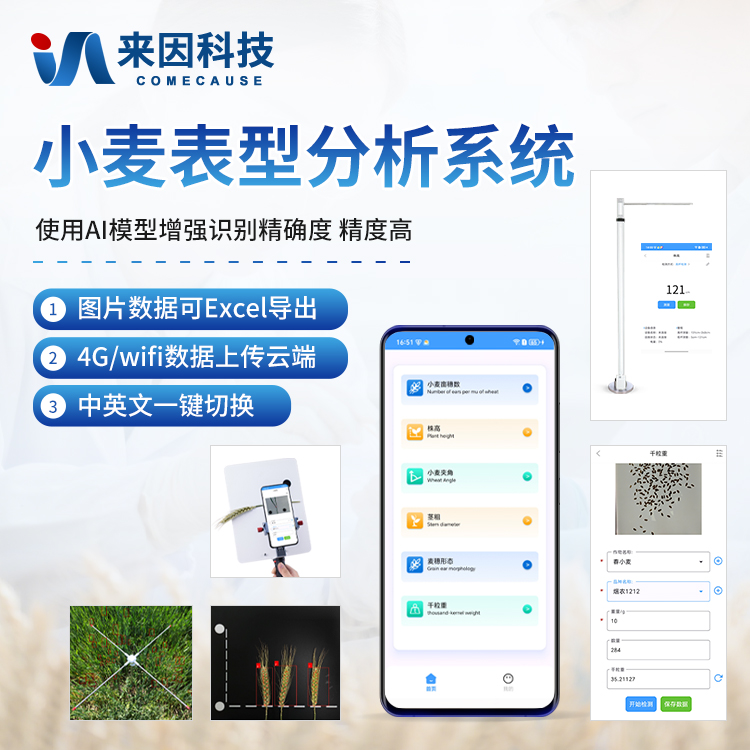 正版资料全年资料大全