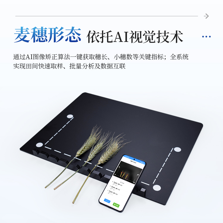 正版资料全年资料大全