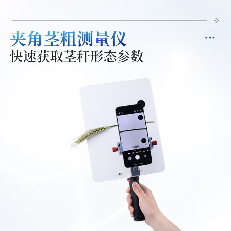 正版资料全年资料大全