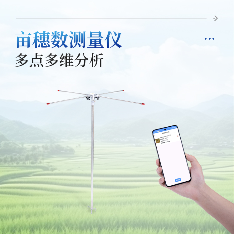正版资料全年资料大全