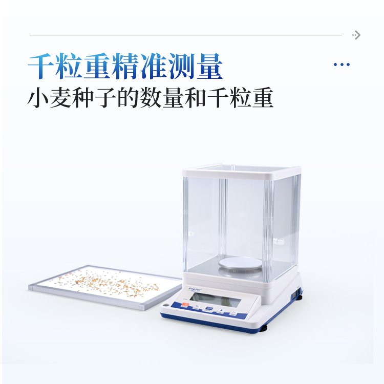 正版资料全年资料大全