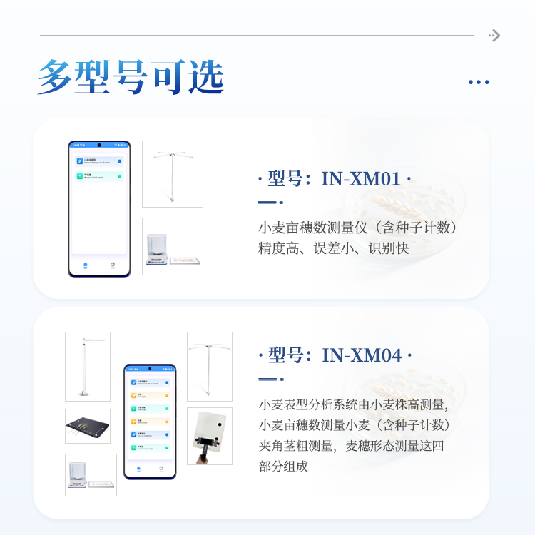 正版资料全年资料大全